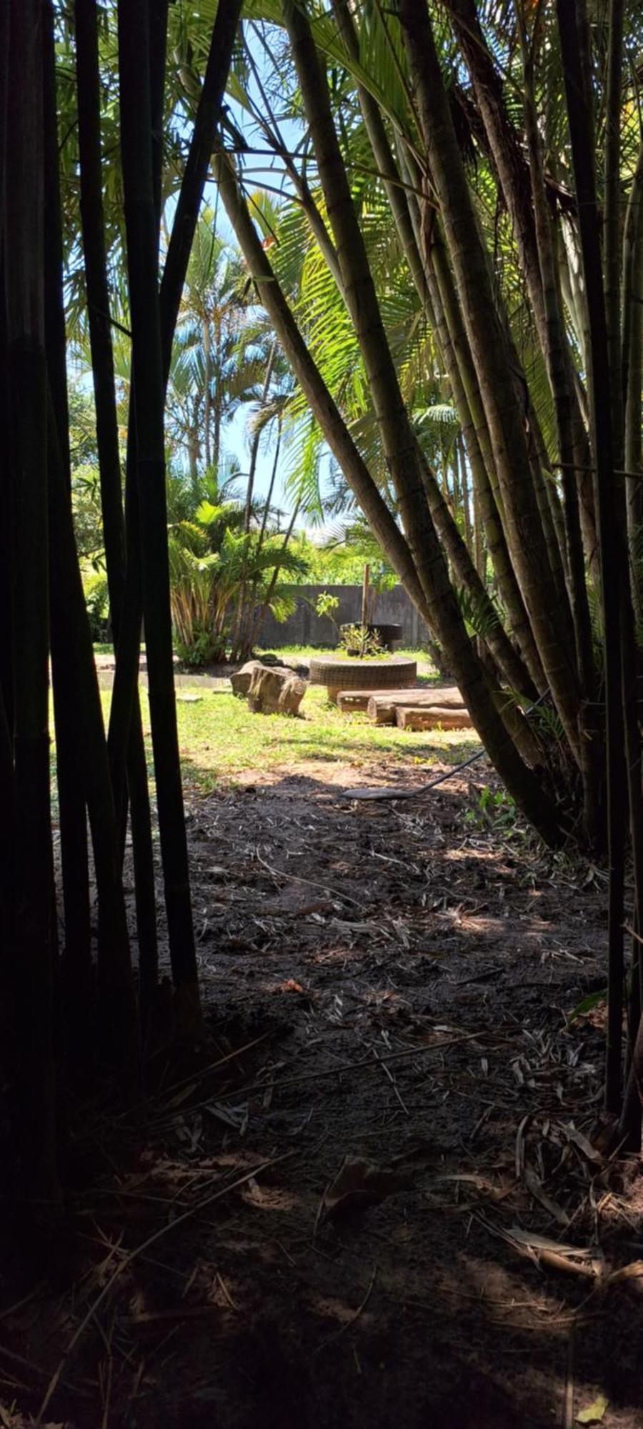 伊利亚孔普里达Chapeu De Sol - Area Gourmet, Tv, Internet, Roupas De Cama E Banho, Jardim, Horta E Pomar公寓 外观 照片